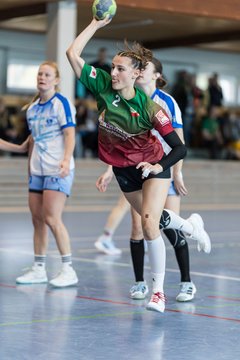 Bild 224 - F HSG Kremperheide/Muensterdorf - ATSV Stockelsdorf 2 : Ergebnis: 47:32